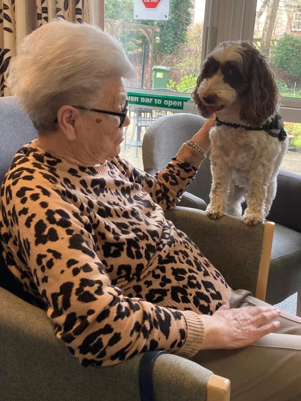 Cuddles, Treats and a Little Bit of Pippa Magic at Cherry Court