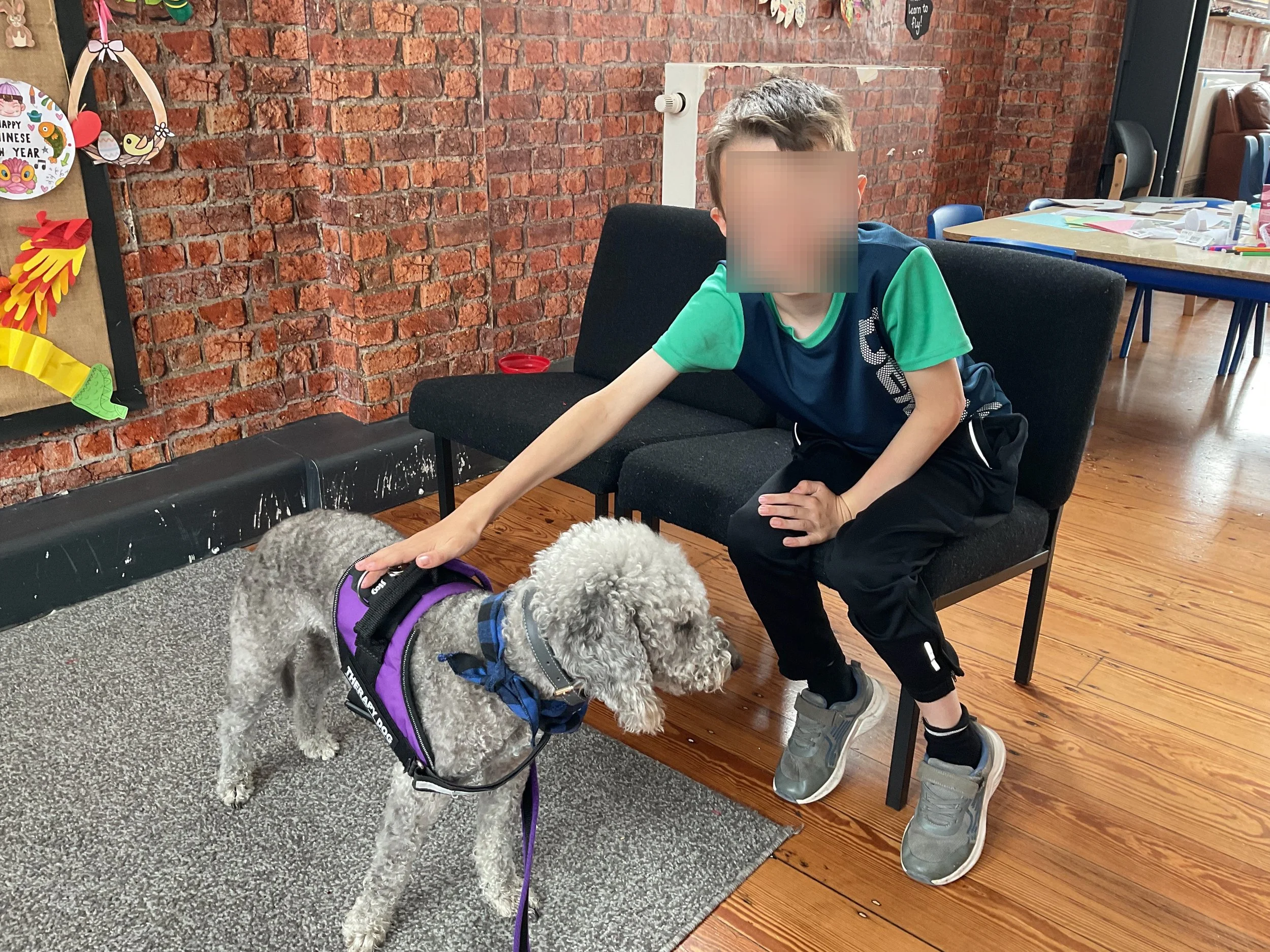 Dark golden dog with a 'Therapy Dog' harness sitting by trees.