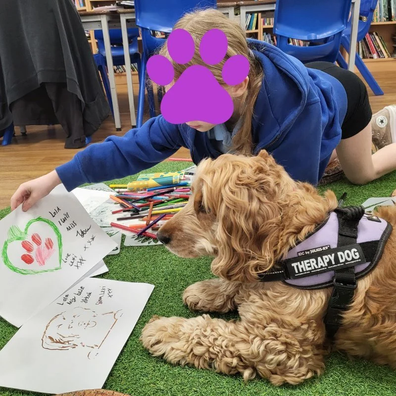 Lesson 3: Understanding the roles and responsibilities of a School Dog ...