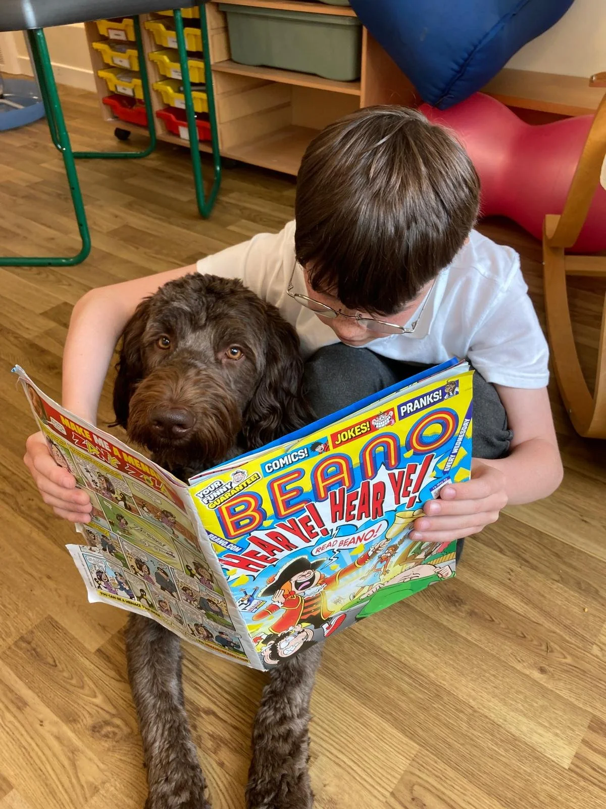 A therapy dog wearing glasses appears to read a magazine on a table.