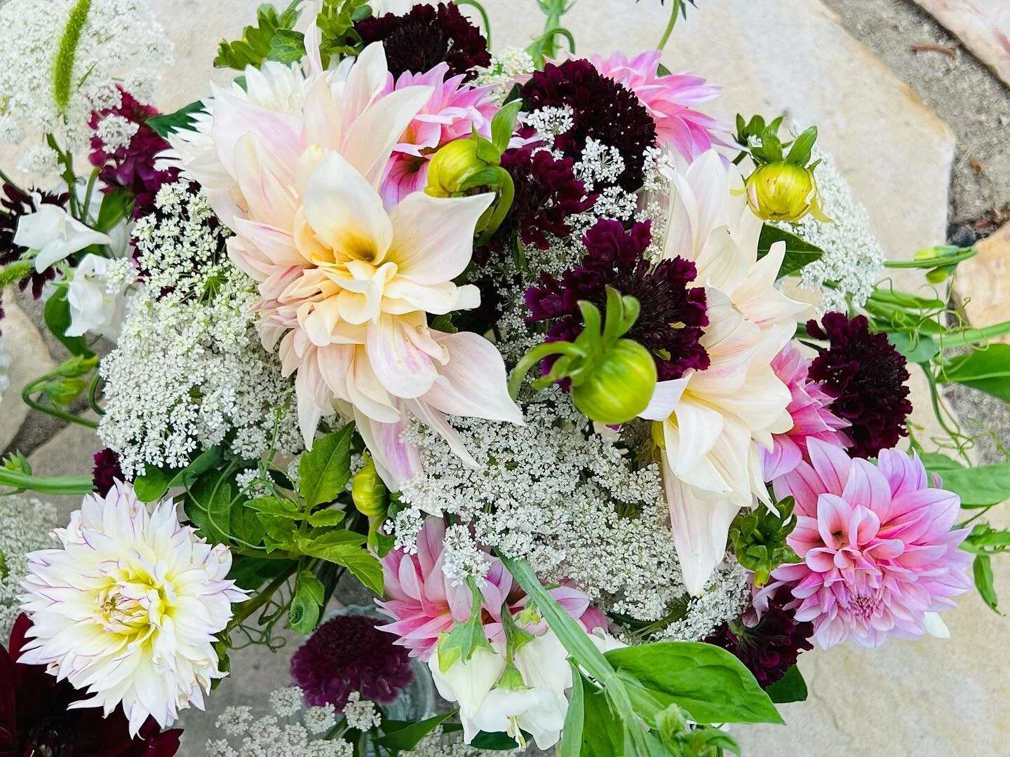 The flowers for our August 2023 retreat @goldengroveretreats were a sight to behold. Those dahlias! (All florals grown and arranged by @the.garden.muse, literally feet away from our backyard.)