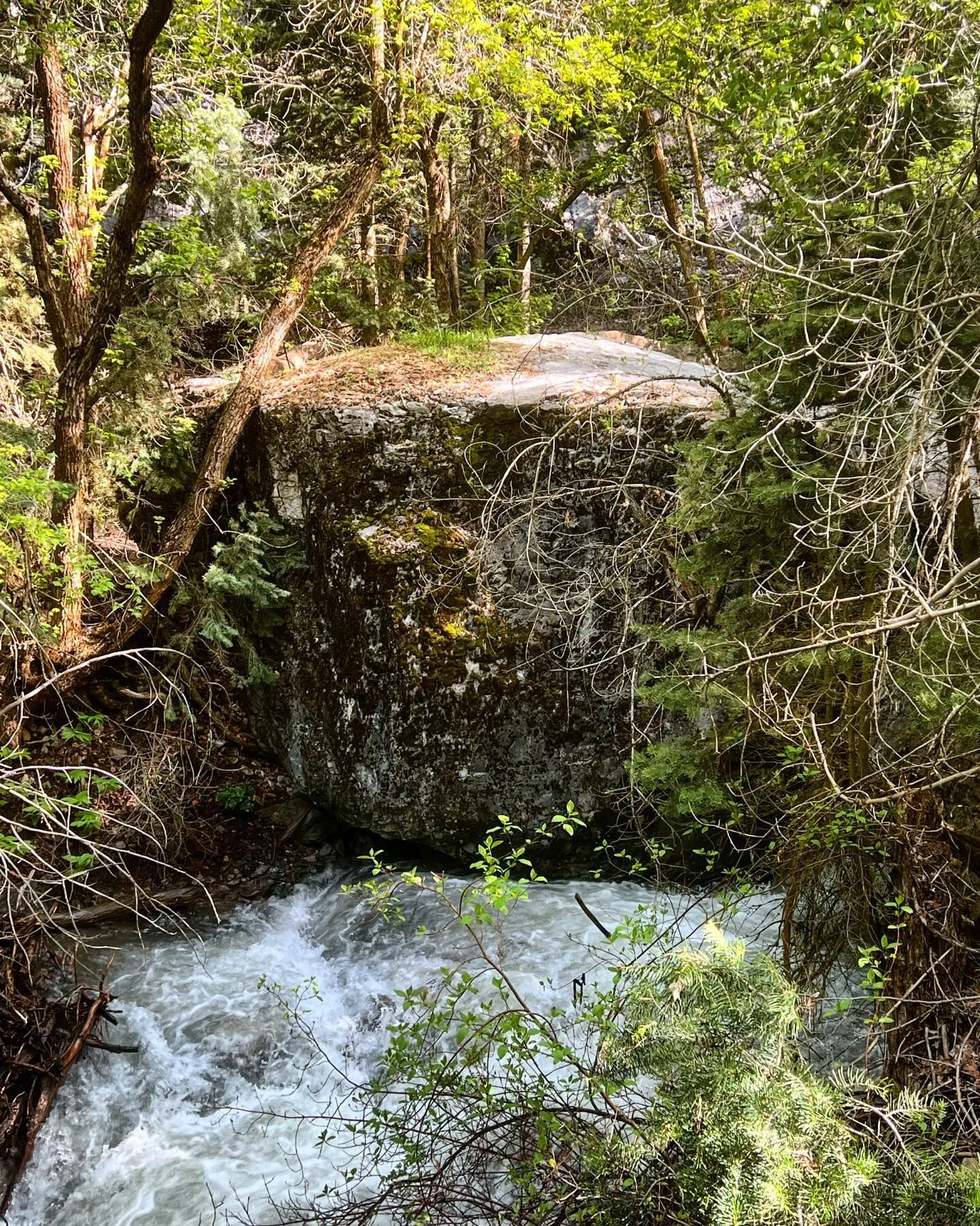 It is just too beautiful here right now.