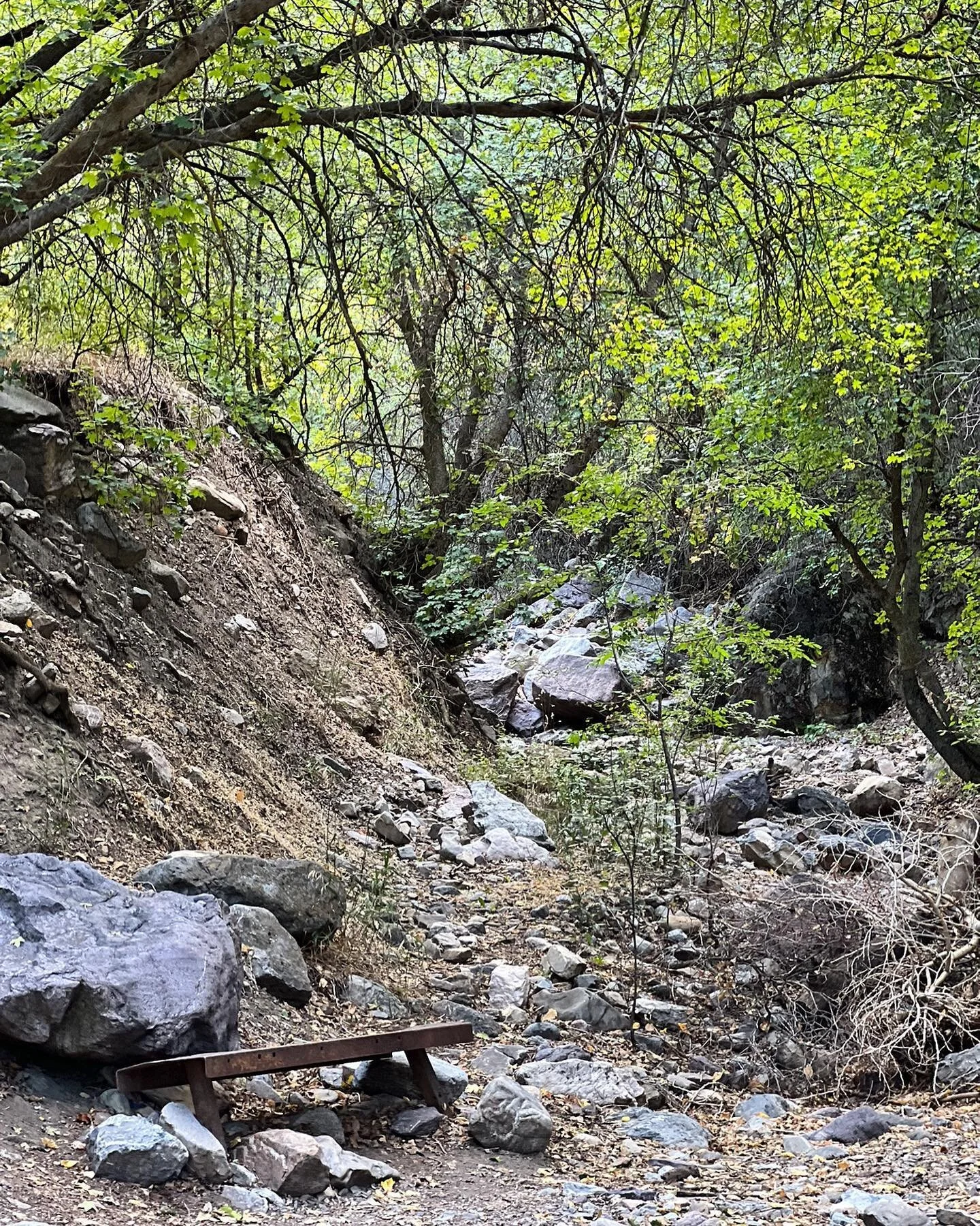 SUMMER 2023 DATES NOW OPEN! Come retreat with us @goldengroveretreats.

Our summer dates are:

May 31-June 4
July 12-16
August 9-13

You can book out the entire place for your group if you&rsquo;d like, or you can book for yourself and meet other won