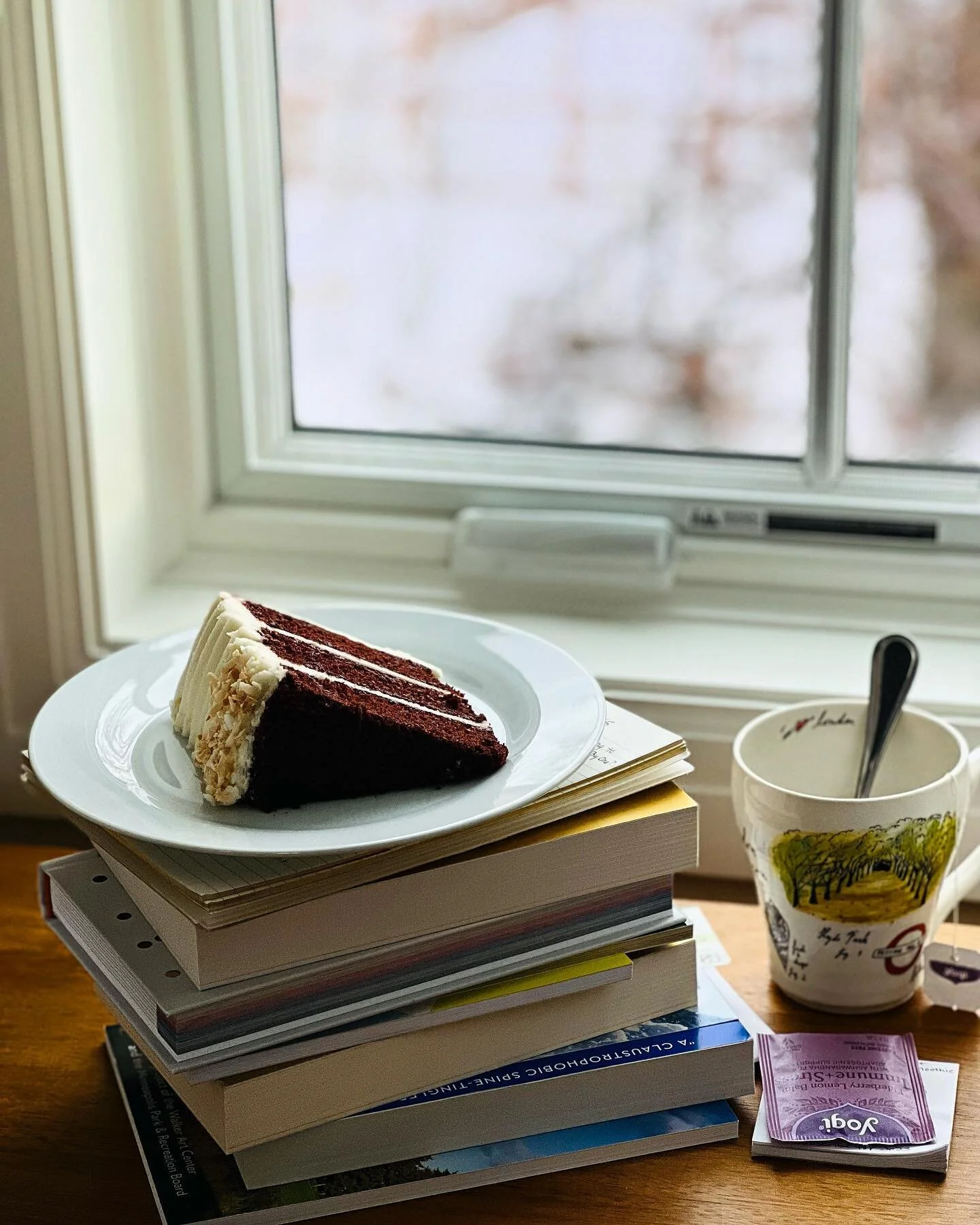 We have books and quiet and cake. Come retreat. March, April, and May dates still available. 📚 ❄️ 🍰 @goldengroveretreats