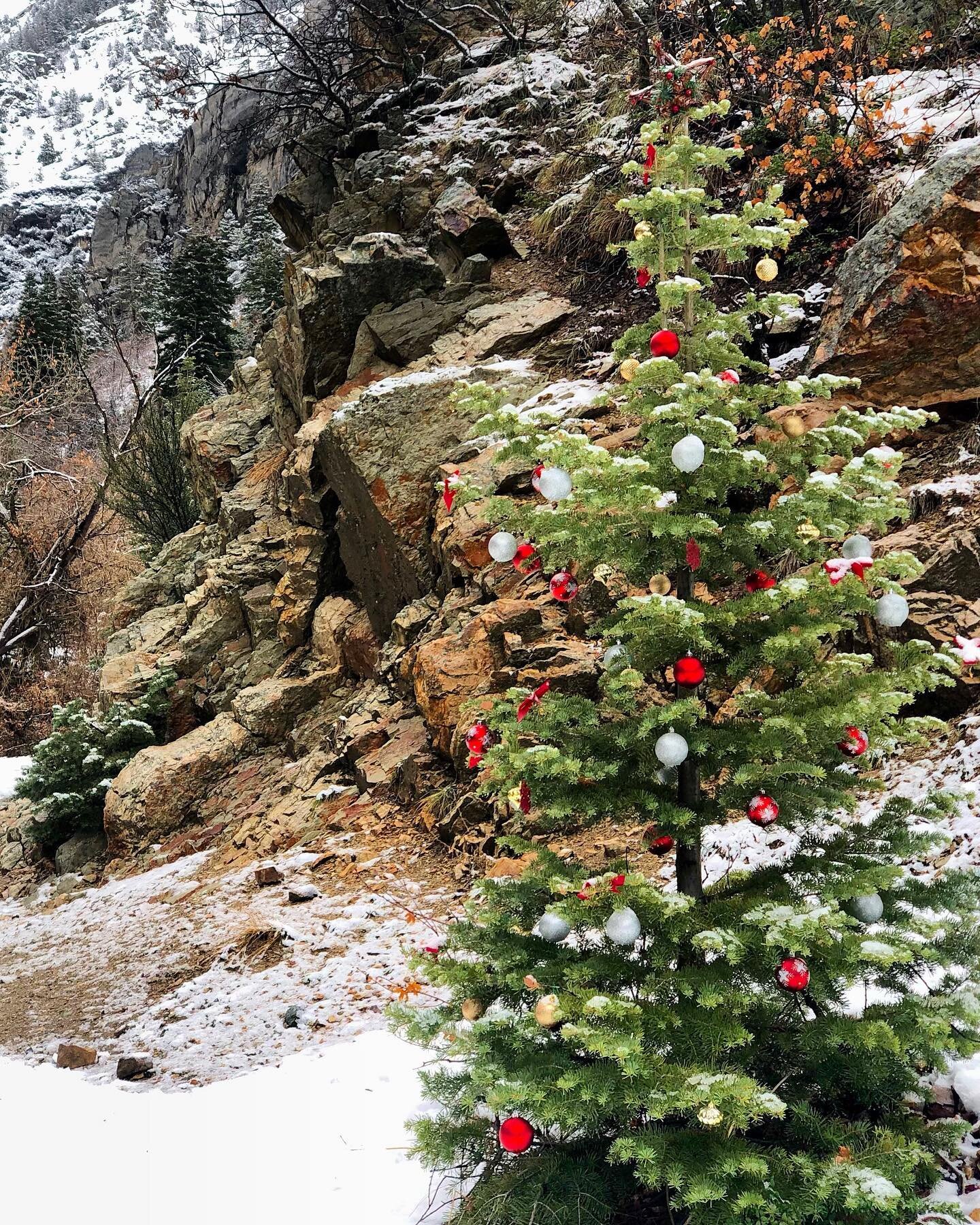 HAPPY BLACK FRIDAY! Do you know someone (maybe even yourself?) who could use a break to create and recharge? For this weekend only, if you book the January retreat @goldengroveretreats , you&rsquo;ll get $100 off. DM for more info. (Retreat dates are