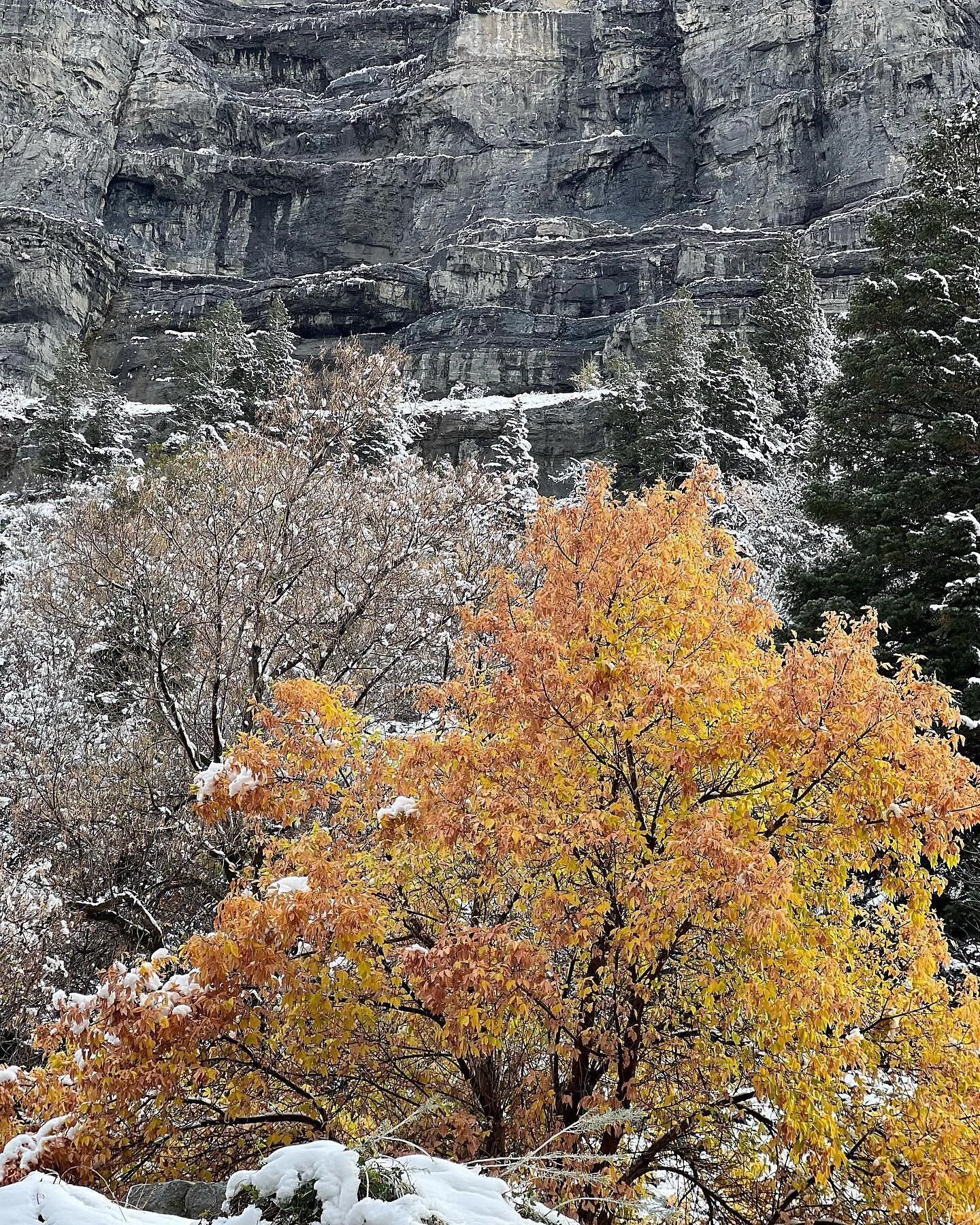 Snow and gold on the retreat hike/walk with these loveliest women. Did you know you don&rsquo;t have to be a writer to come to the retreats @goldengroveretreats? Gather your people and stay/rest with us. Thank you for coming, @krischandlerstories, @s