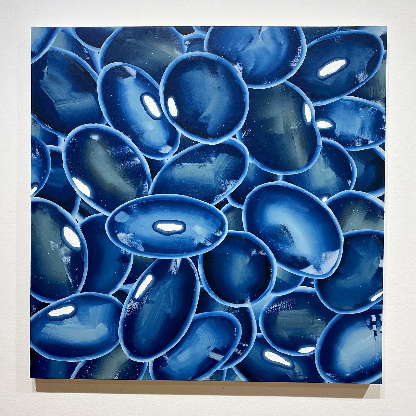 &ldquo;The Three Sisters: Hopi Black Bean, Mayo Arrote Squash and Bear Island Flint Corn&rdquo;. These 3 paintings were collaborative pieces created by myself and @masaseedfoundation for @bmoca &lsquo;s &quot;agriCULTURE: Art Inspired by the Land&rdq