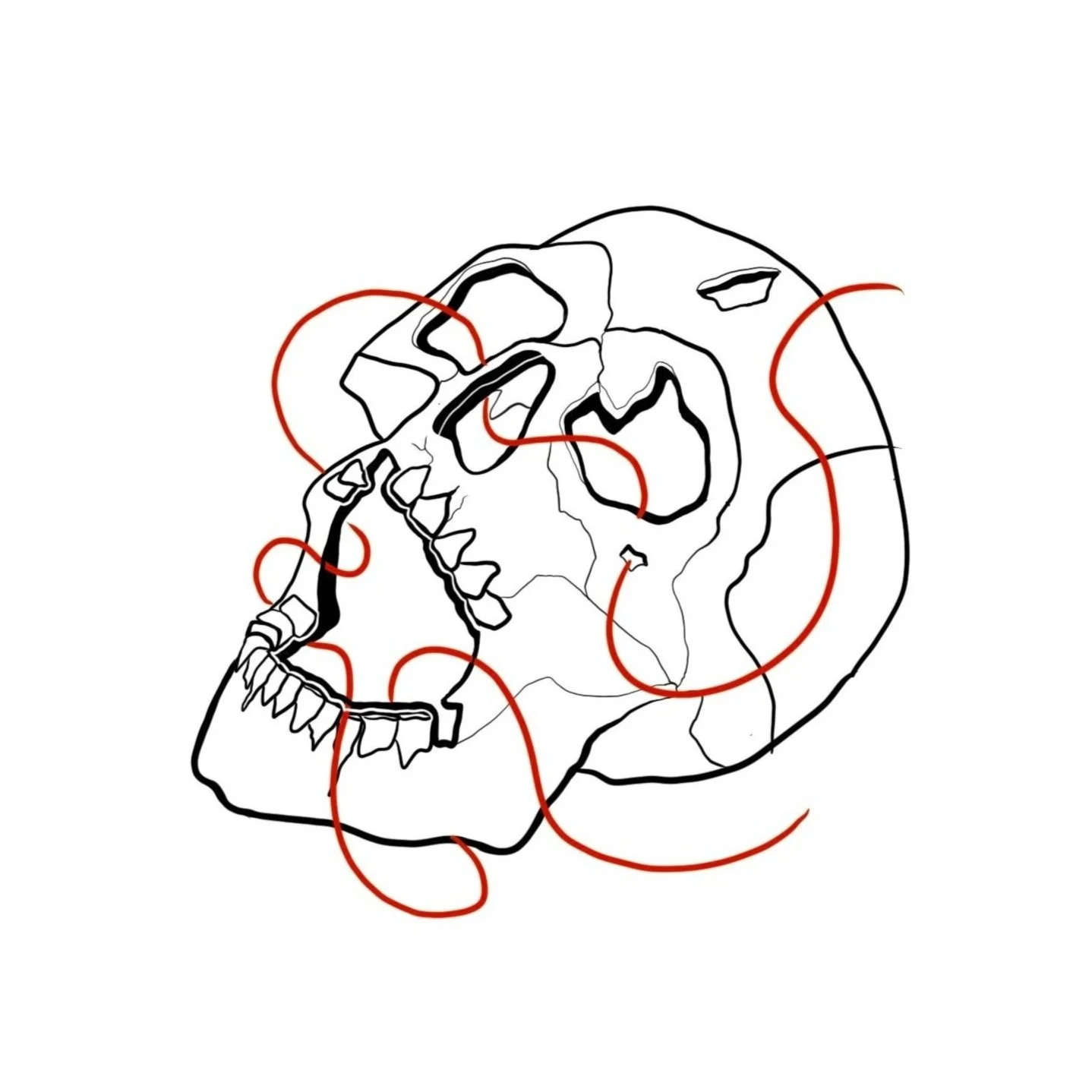 skull2.jpg