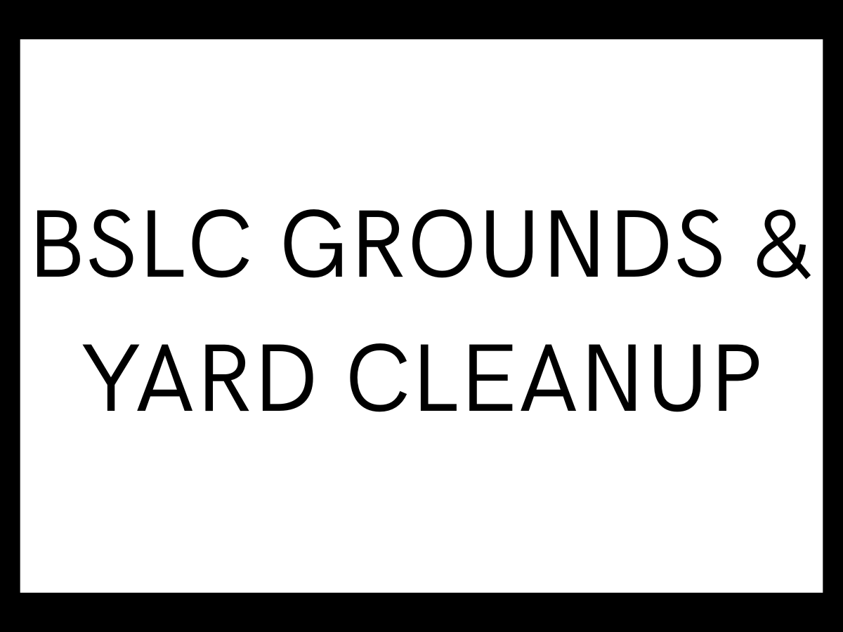 Help us do a spring yard-cleanup