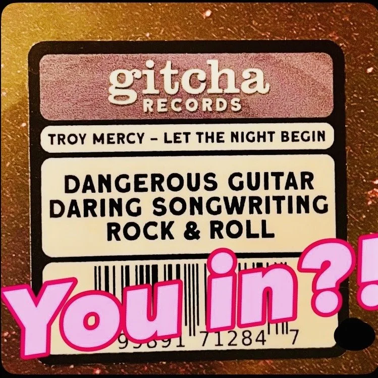 troy mercy vinyl hype sticker