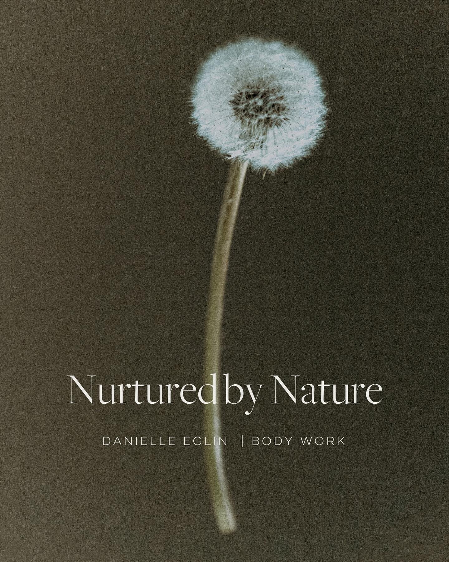 One of the most accessible tools to us, for our overall health and well being is Nature. It&rsquo;s spending time with the earth. It&rsquo;s watching the ever changing, and unfolding details of nature arise and fall. There are so many health benefits