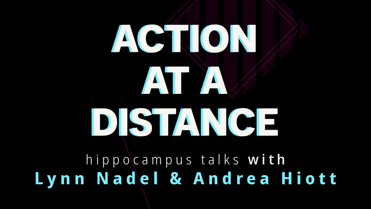 The Hippocampus &amp; Action at a Distance