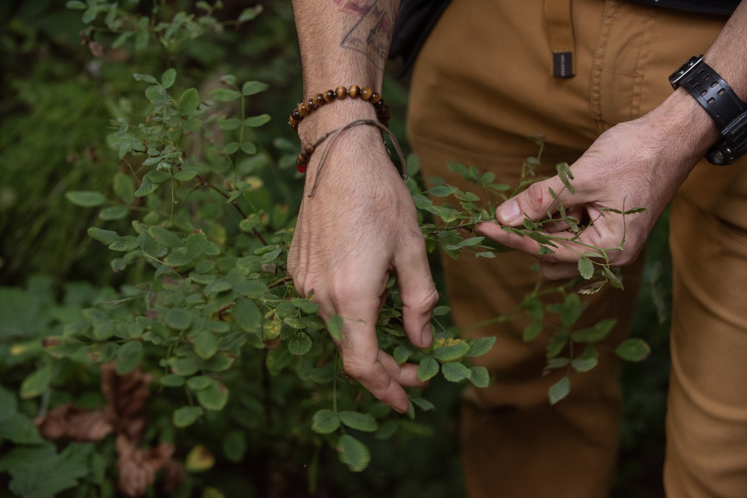 Spring Wilderness Walk - BIPOC