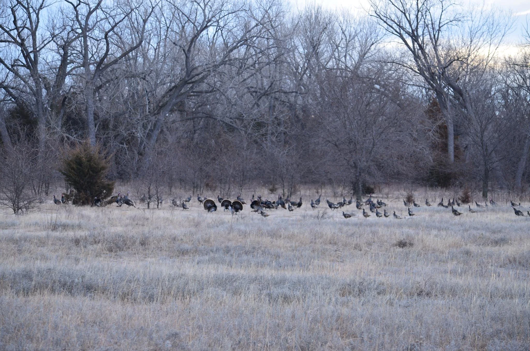 HEARTLAND PRIDE 10 - Nebraska Lodge.jpg