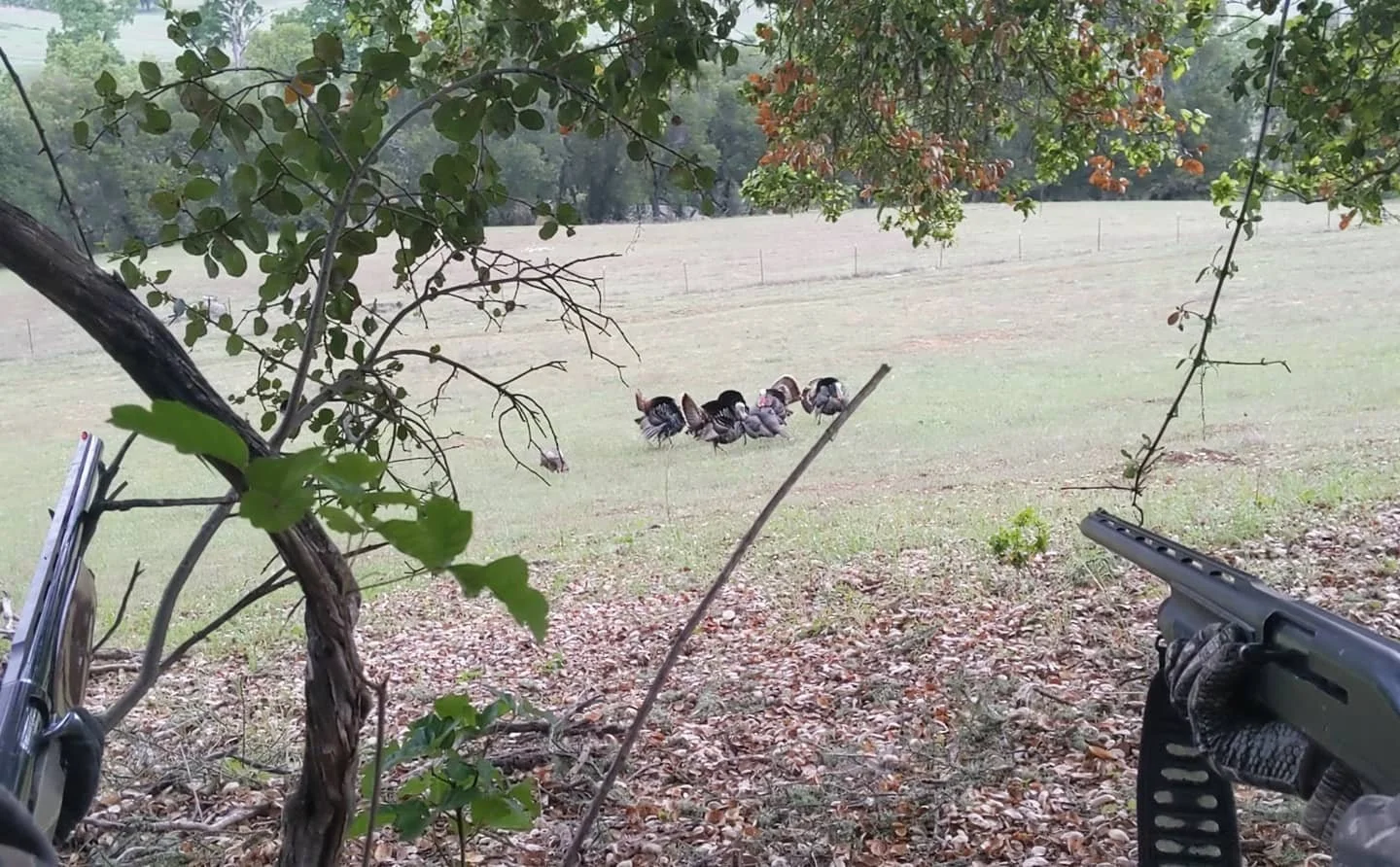 Oakstone Turkey 8.jpeg