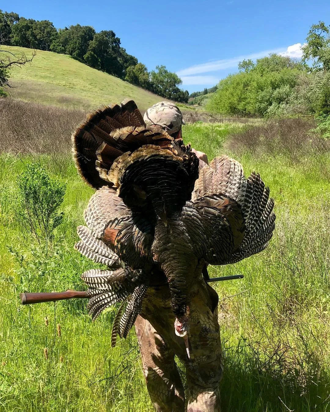 Oakstone Turkey 15.jpeg