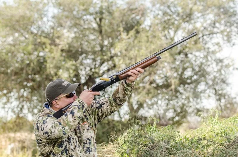 PZ Dove Shot 2017 copy.jpeg