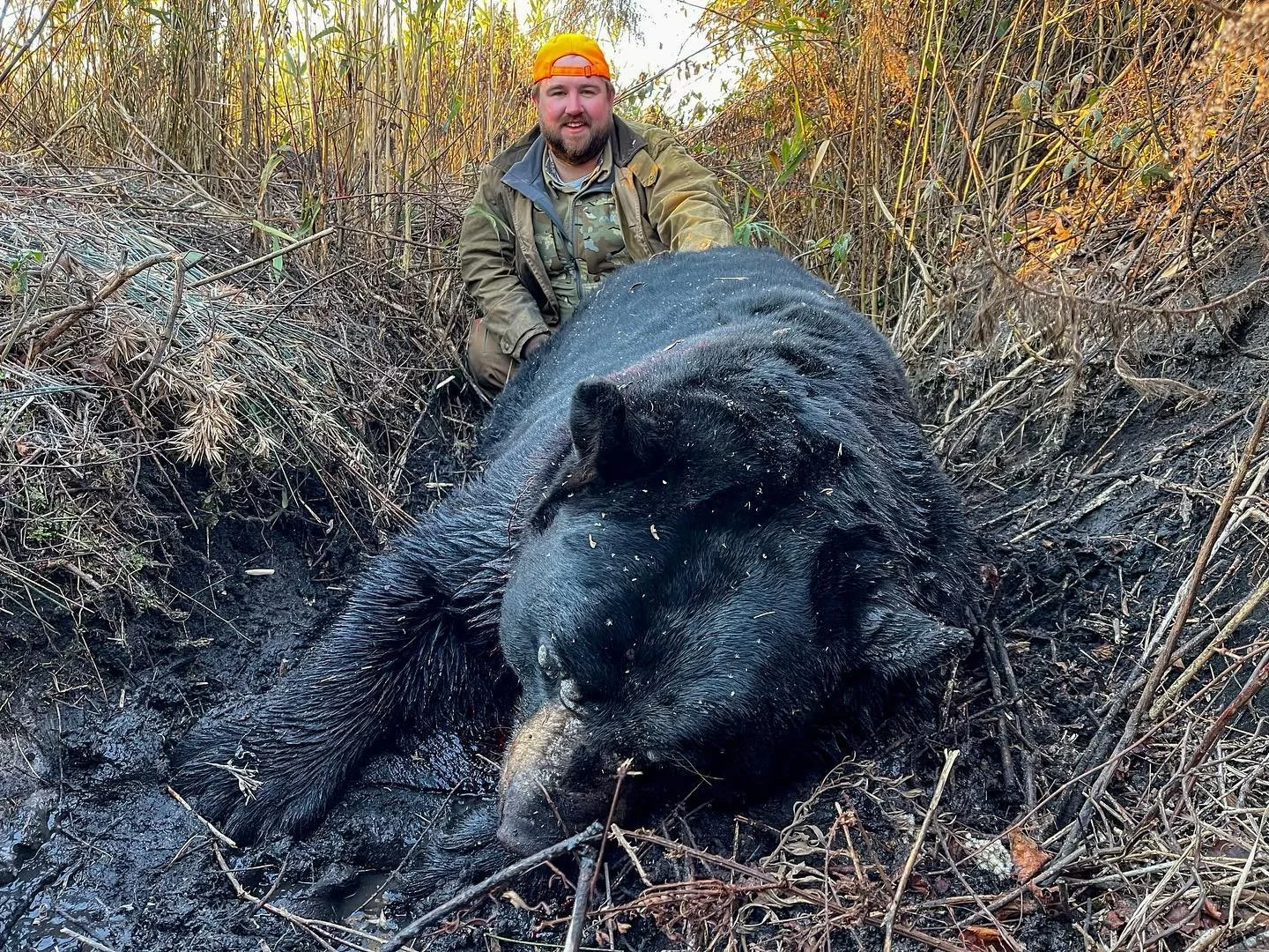 Ches - Giant Black Bear.jpeg