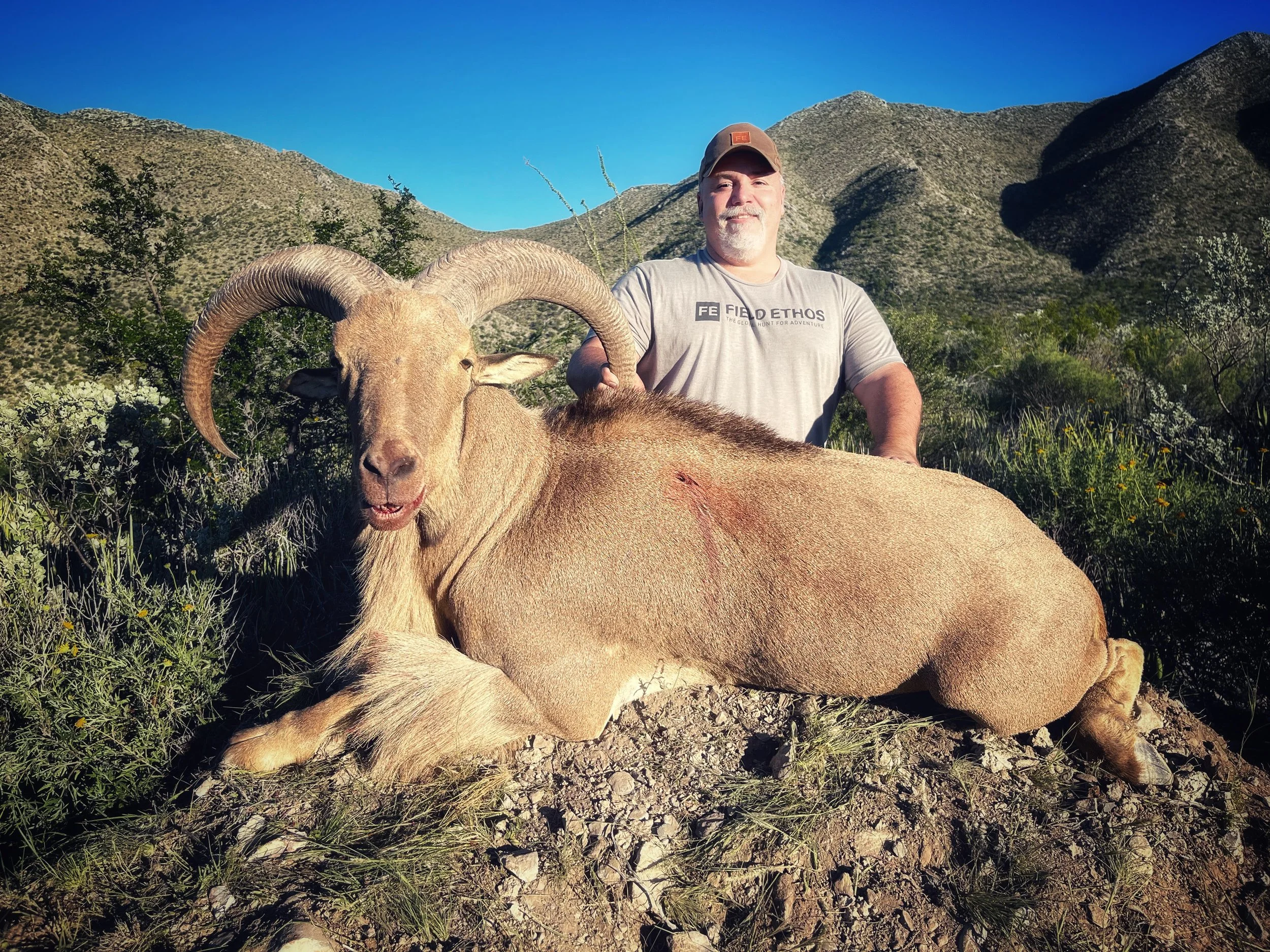 Tony - Aoudad Edit.jpeg