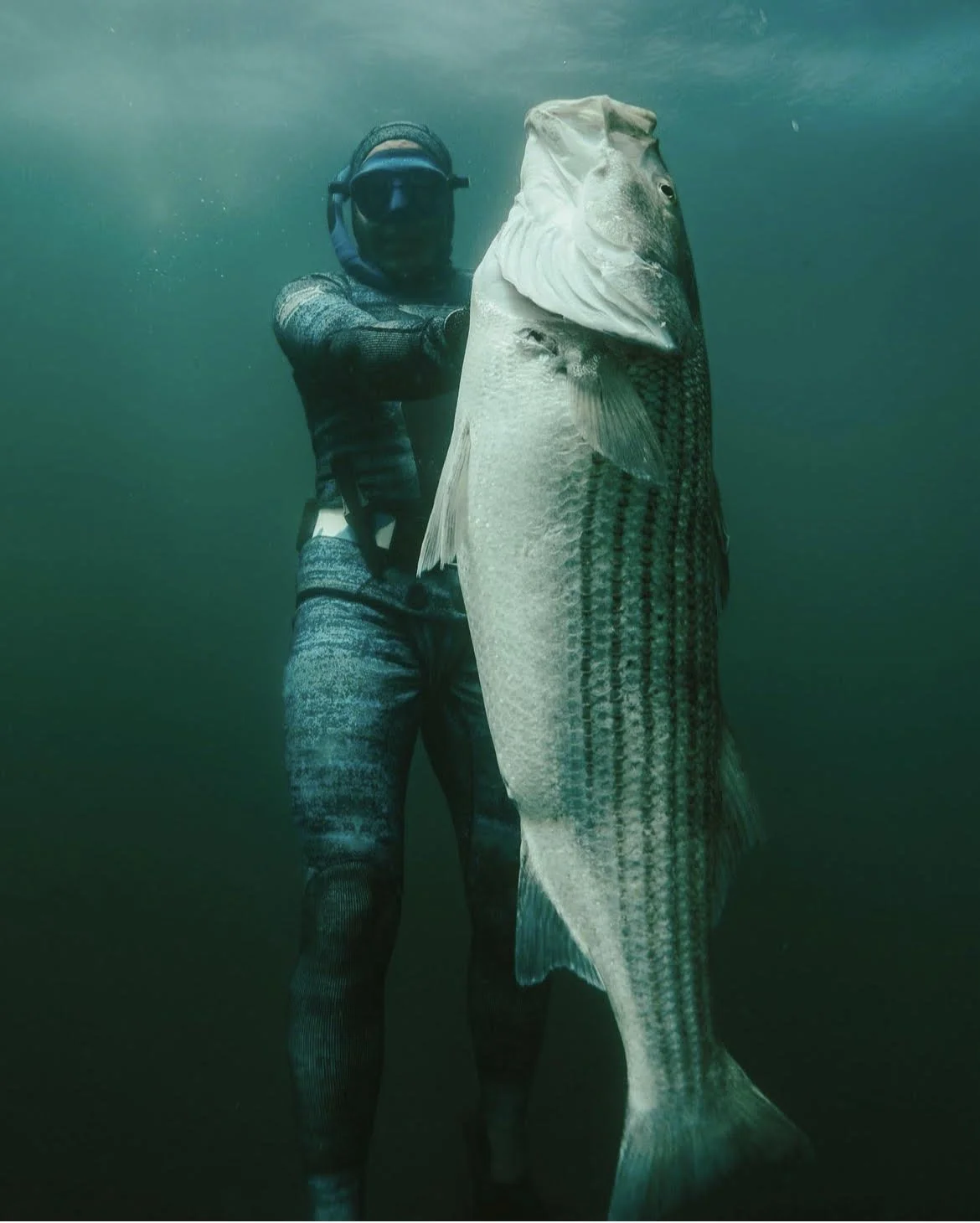 Dave - Big Bass.jpeg