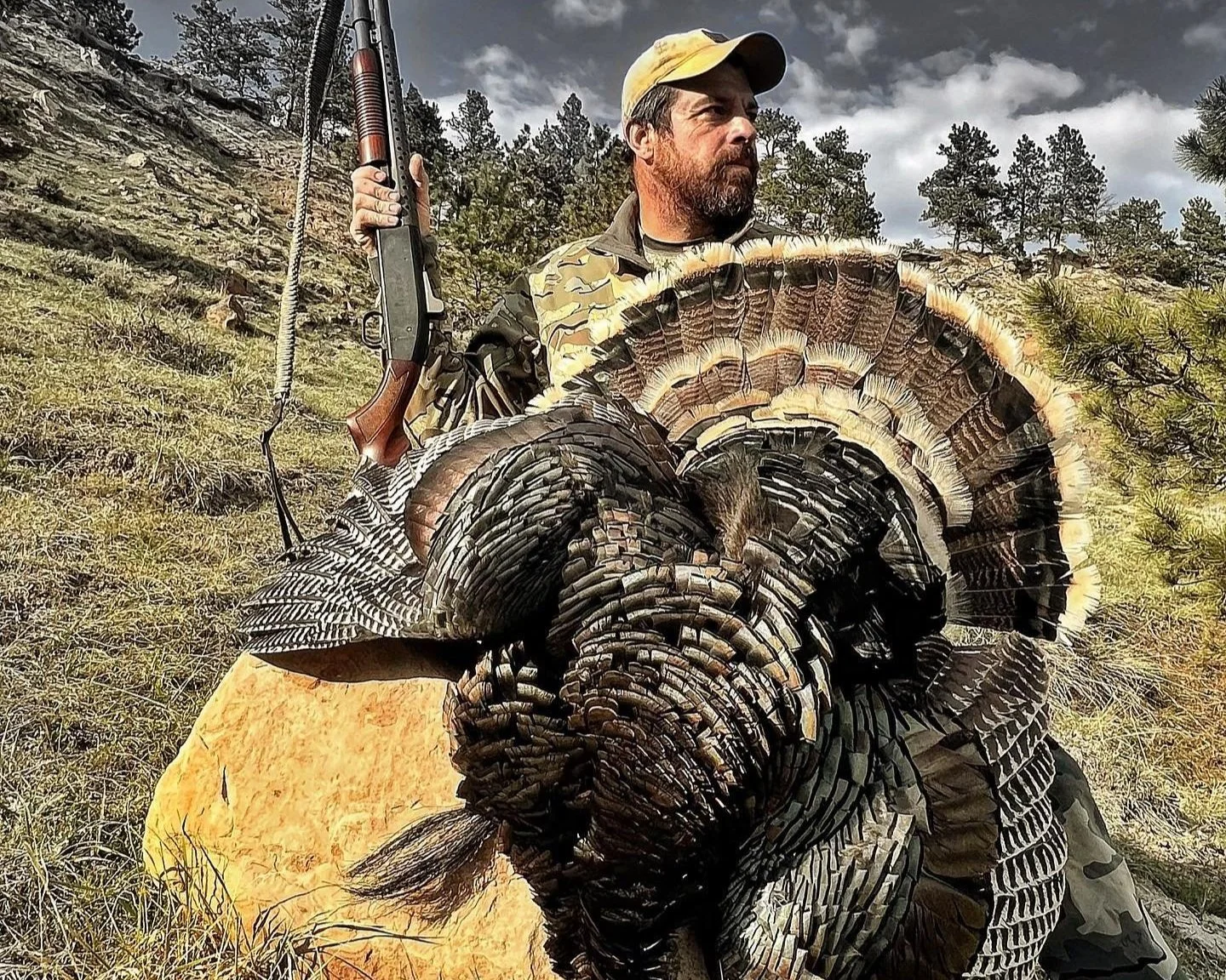MIKE TURKEY.jpeg