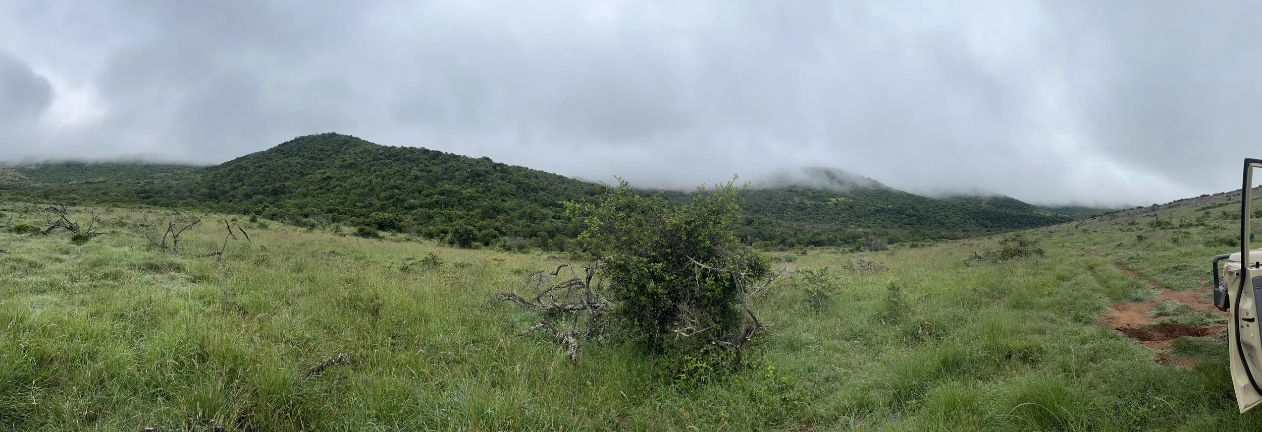 IMG_1592.jpeg