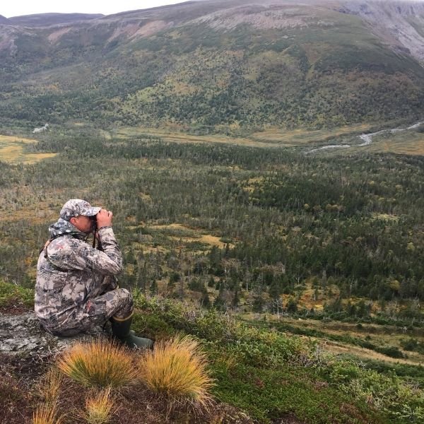 hunting-guide-scouting-moose-in-newfoundland.jpeg