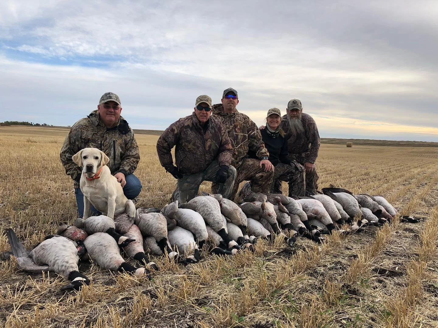 BlackDog Waterfowl 3.jpeg