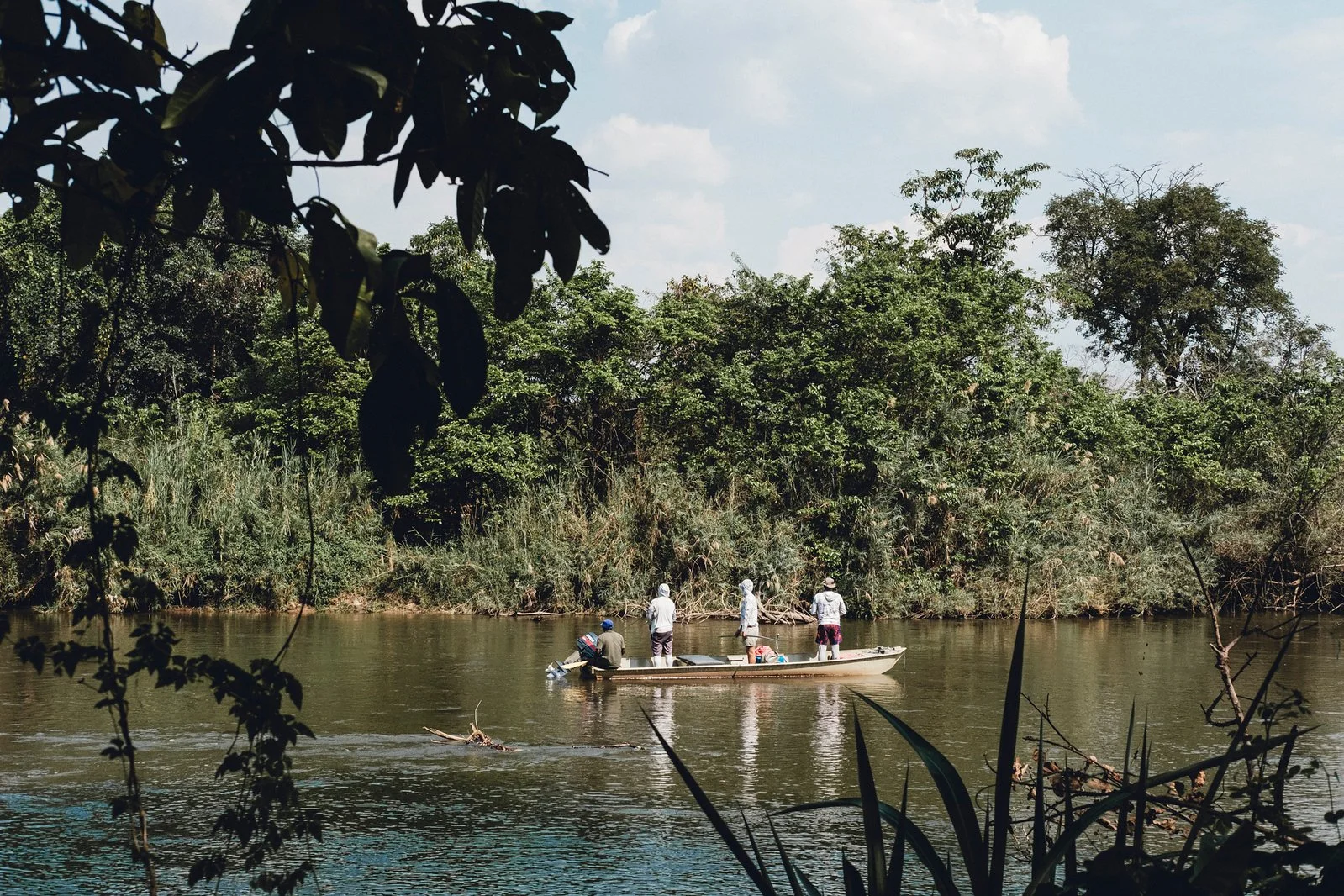 TANZANIAN TIGERS. 36.jpeg