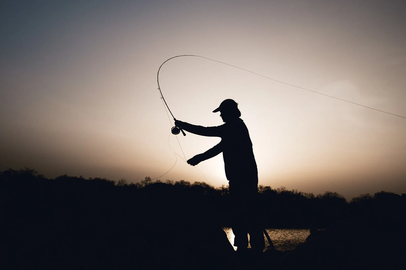 CAMEROON NILE PERCH 41.jpeg