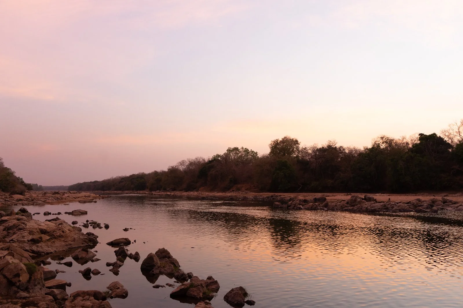 CAMEROON NILE PERCH 31.jpeg