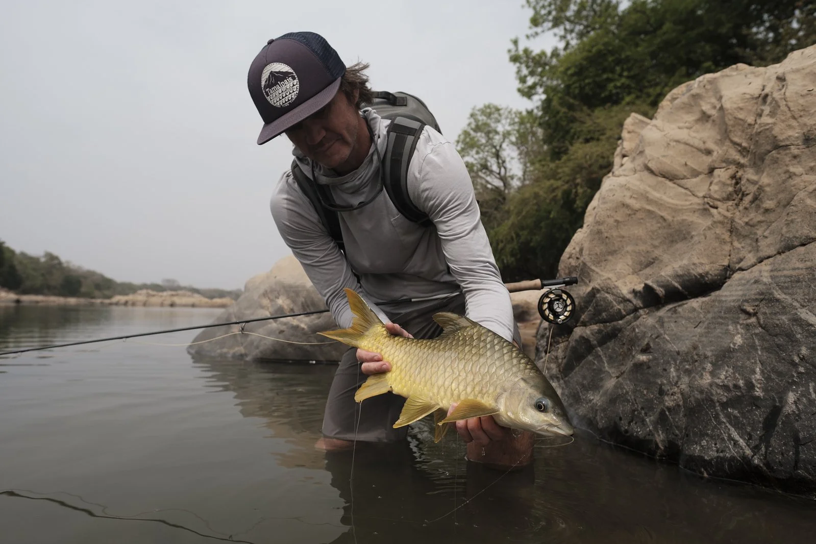 CAMEROON NILE PERCH 10.jpeg