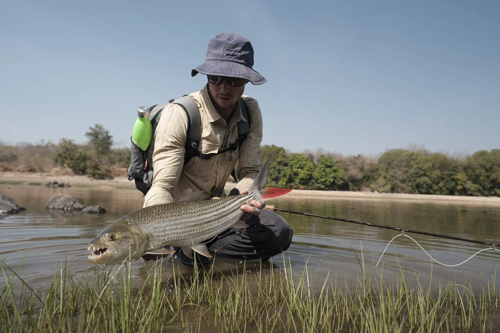 CAMEROON NILE PERCH 4.jpeg