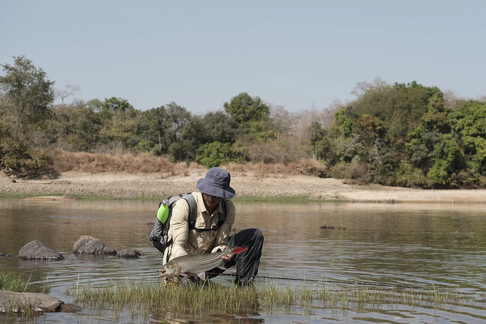 CAMEROON NILE PERCH 3.jpeg