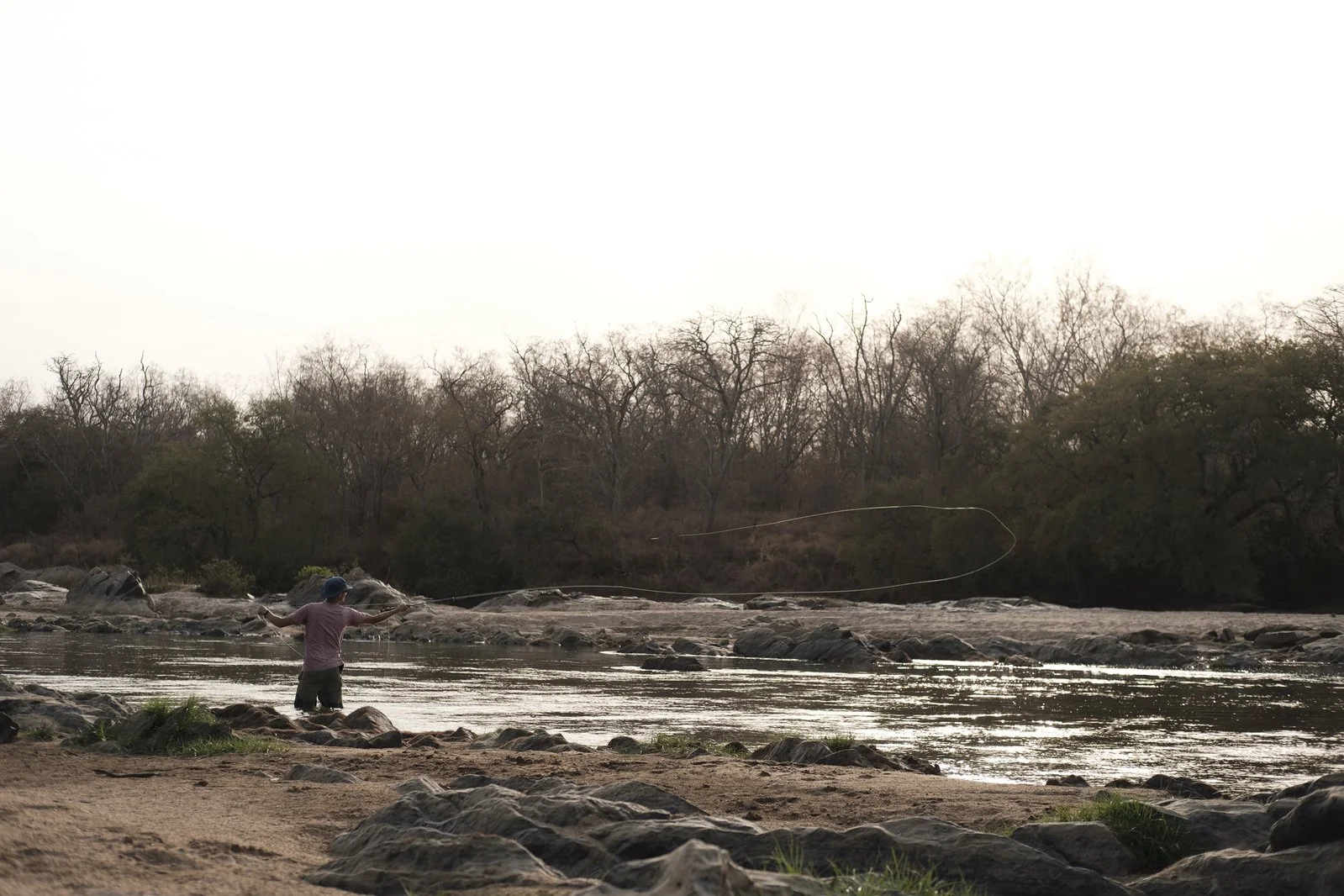 CAMEROON NILE PERCH 2.jpeg