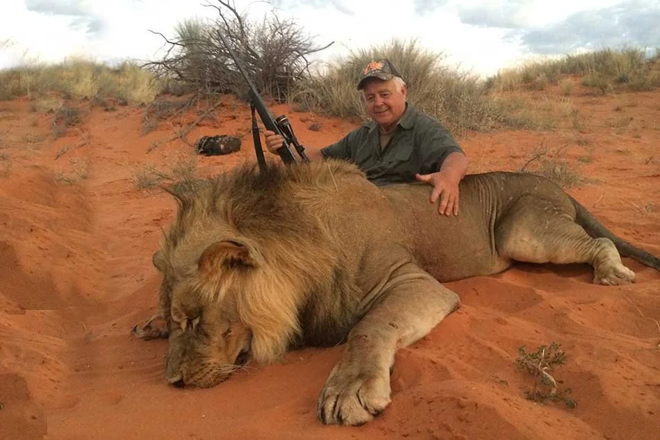 KALAHARI LION 1.jpeg