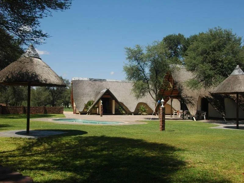 KALAHARI LION 6.jpeg