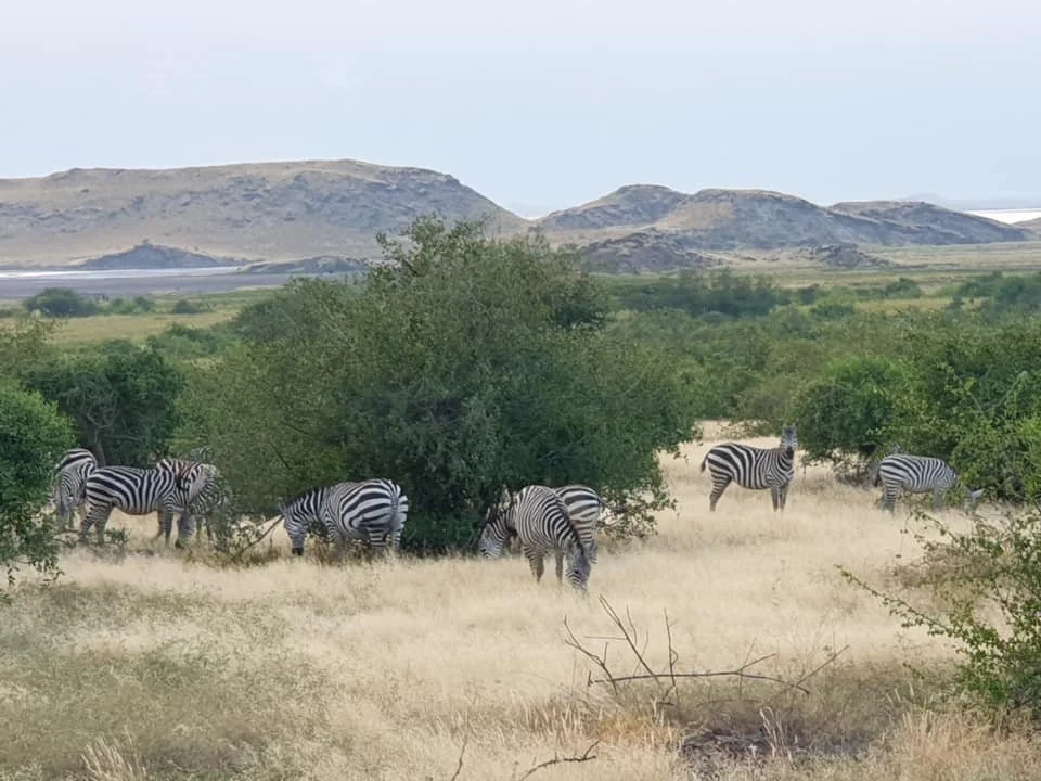 EAST AFRICA MOTORCYCLE 12.jpeg