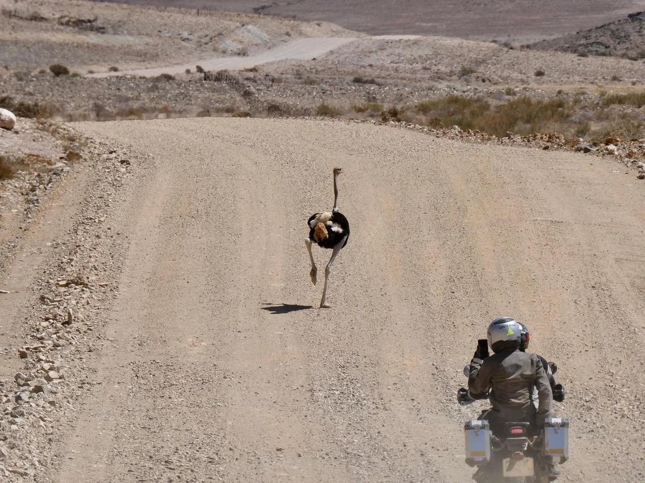 Namibia Motorcycle Tours 16.jpeg