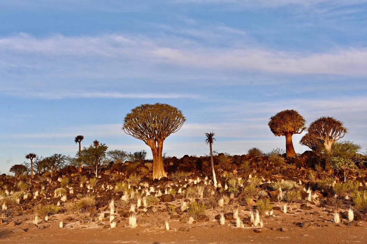 Namibia Motorcycle Tours 10.jpeg