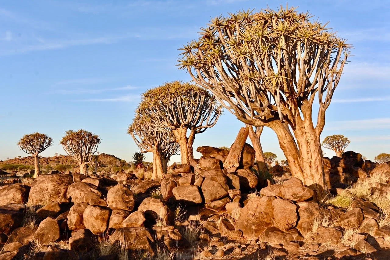 Namibia Motorcycle Tours 9.jpeg