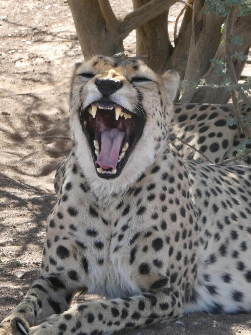 Namibia Motorcycle Tours 7.jpeg