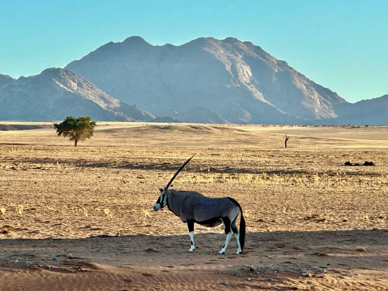 Namibia Motorcycle Tours 2.jpeg