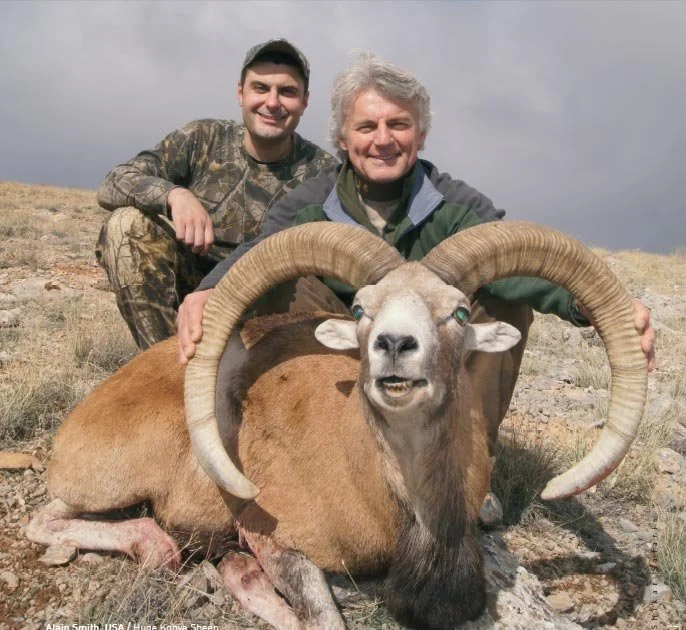 BEZOAR IBEX  13.jpeg