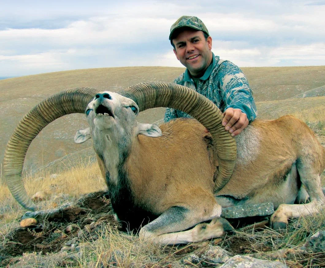 BEZOAR IBEX  12.jpeg