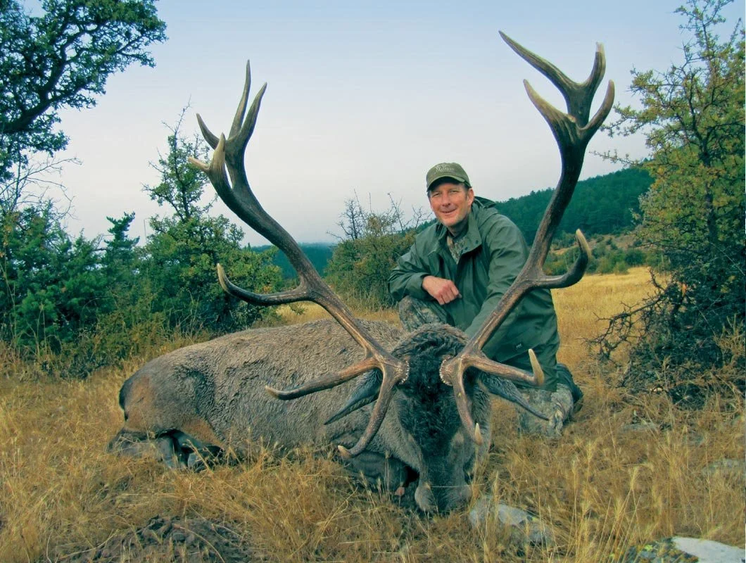 BEZOAR IBEX  11.jpeg