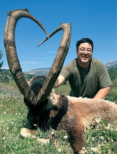 Bezoar Ibex 3.jpeg