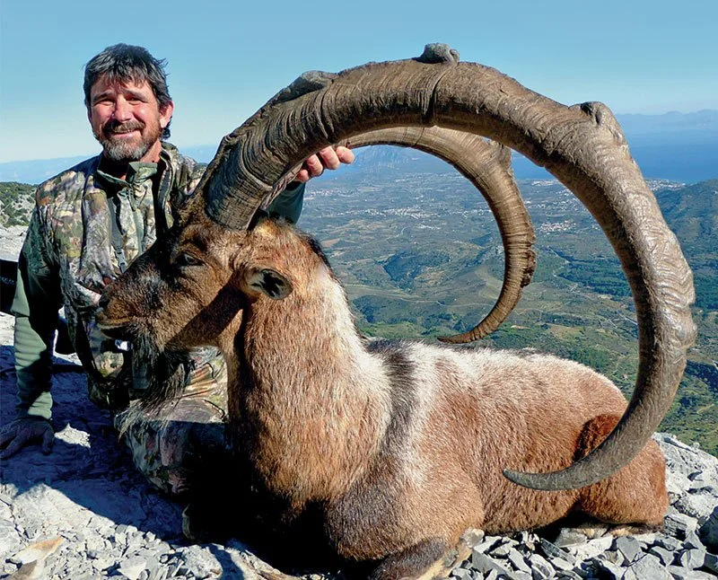 Bezoar Ibex 2.jpeg