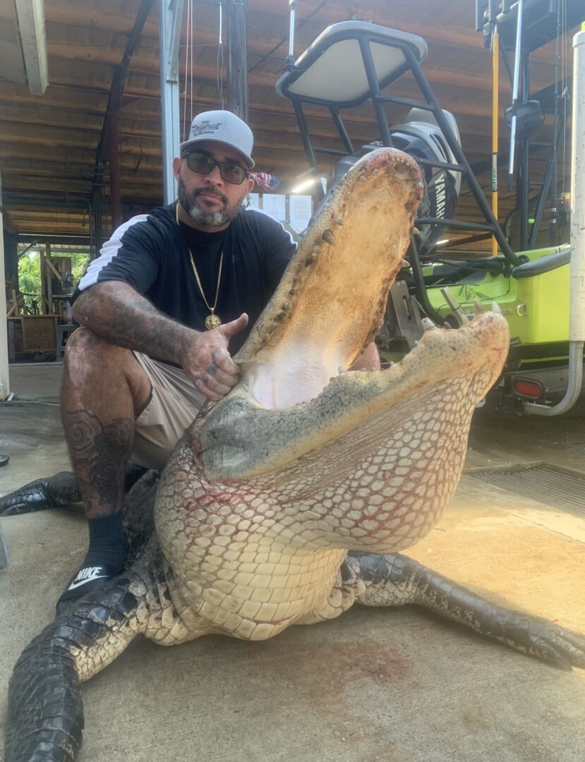 KC-Gator-004.jpeg