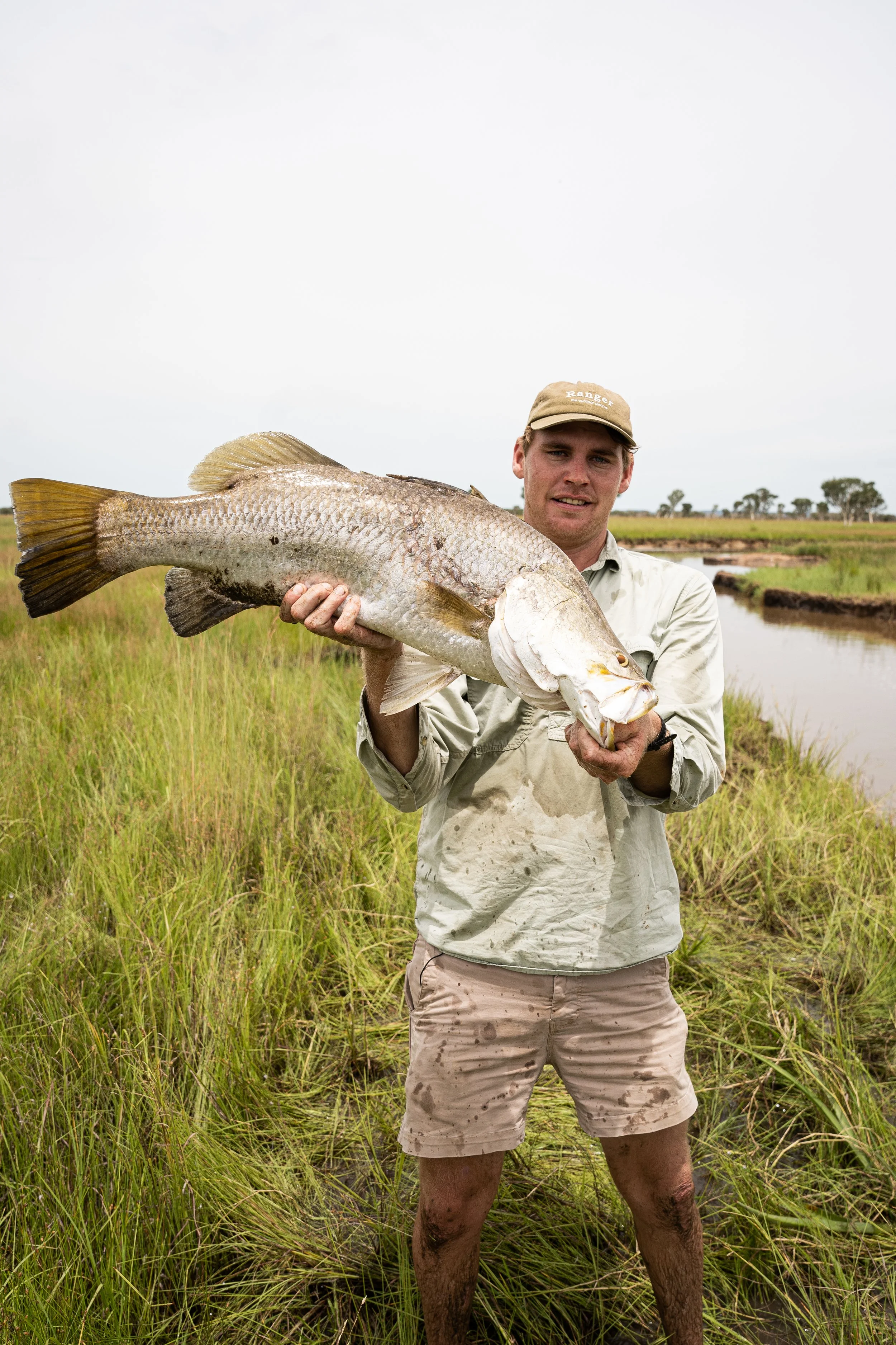 Barramundi.jpg